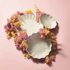 Mateus Oyster Lautanen 28 Cm 8 Mateus Oyster Lautanen 28 Cm -Umage Kauppa 46218 06 02 0e5f6adb46