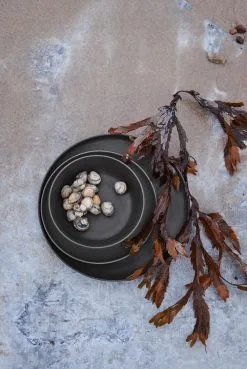 Rosendahl Grand Cru Take -melamiinilautanen Ø 26 Cm, 2-pakkaus -Umage Kauppa 510578 01 5 EnvironmentImage b265c7841c