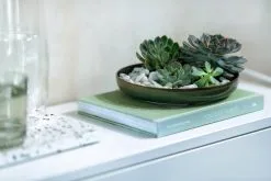 Villeroy & Boch Crafted Breeze Syvä Lautanen Ø 21,5 Cm -Umage Kauppa 570809 01 4 EnvironmentImage dec4ec0573